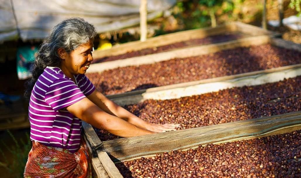 Seduh Kenangan di Jalan Rinjani: Coffee Serogo Rinjani Cilacap