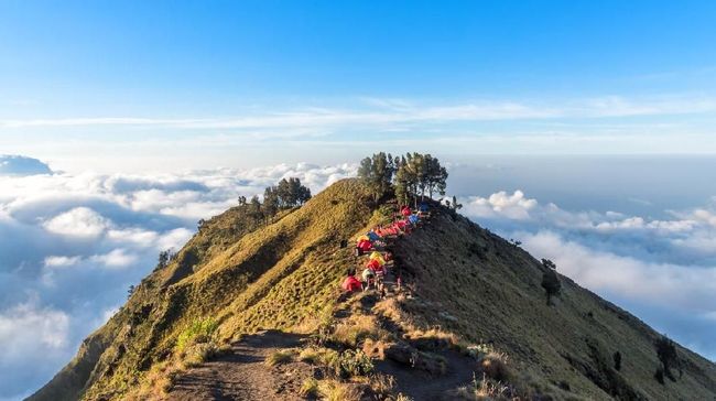 Rinjani Coffee: Rasa yang Mengalir di Setiap Teguk
